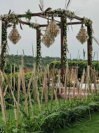 A side view of the rustic mandap, showing how the tall pampas grass creates a natural aisle and frames the structure beautifully against the green landscape.