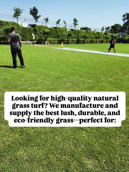 Delhi Gardner - Full-Service Landscaping Premium Lawn & Turf Solutions photo 24