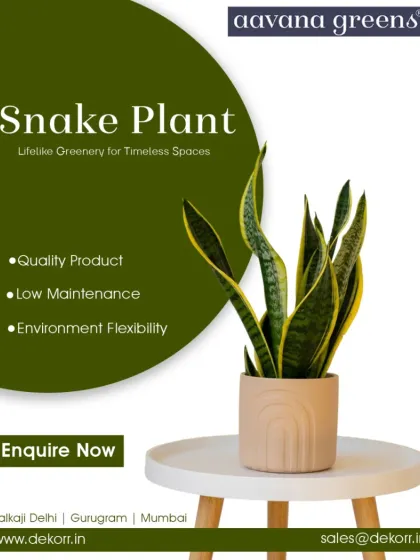 The artificial Snake Plant is a perfect blend of beauty, durability, and low maintenance. Its upright leaves with distinct patterns add a touch of modern elegance to any tabletop or corner.