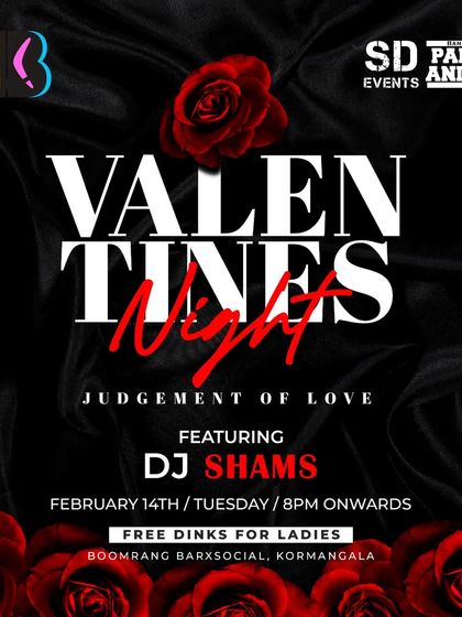 DJ Shams - DJ for Special Events Festive & Themed Parties photo 25