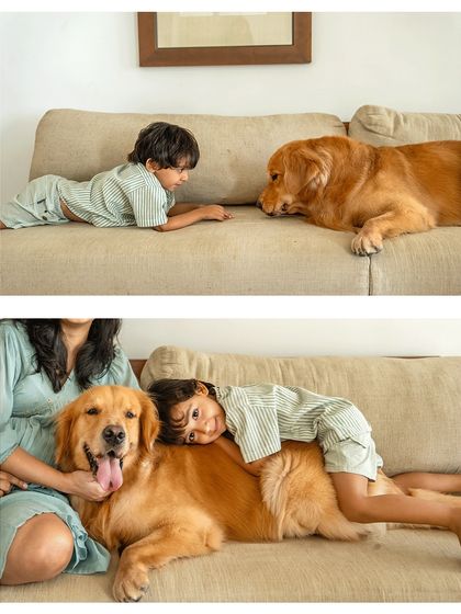 Pawparazzi By Prathima - Maternity & Newborn Photography with Pets Kids & Pups: Partners in Crime photo 3