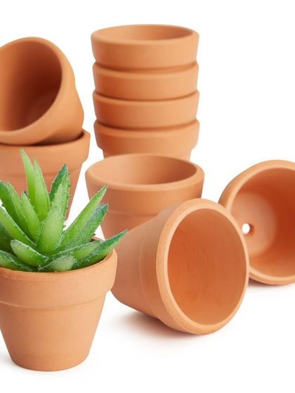 Fall in love with our mini terracotta pots. 🪴 They are perfect for small succulents, gifting, or starting your own collection of tiny plants.
