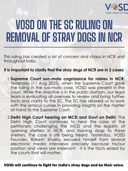 I am clarifying my position on the recent SC ruling. Our legal team is evaluating all avenues to review the directive and present facts to the court. We will continue to fight for India's stray dogs and be their voice.