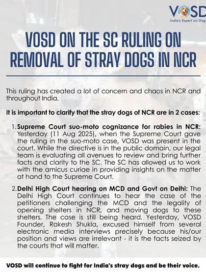 I am clarifying my position on the recent SC ruling. Our legal team is evaluating all avenues to review the directive and present facts to the court. We will continue to fight for India's stray dogs and be their voice.
