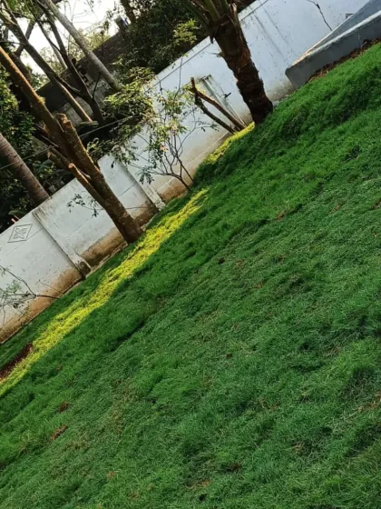 Lush Lawn Installations photo 8