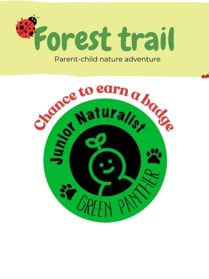A graphic promoting our Forest Trail, highlighting the chance for kids to earn a "Junior Naturalist" badge, a great incentive for young learners.