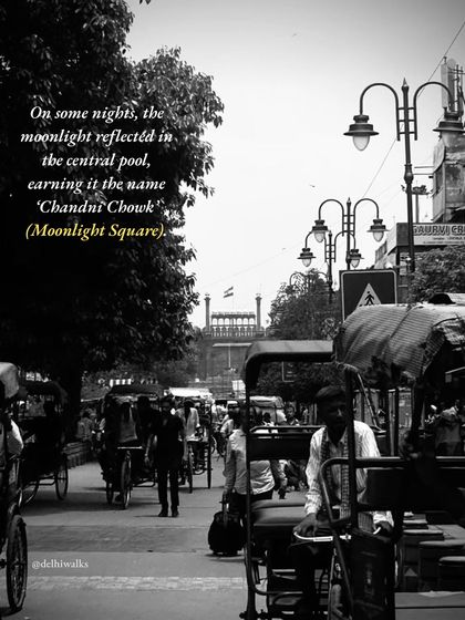 Vanishing Havelis of Old Delhi photo 20