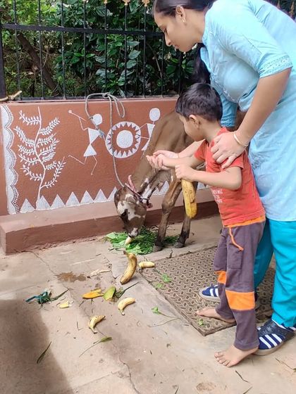 Ken Montessori - Montessori Summer Camp Learning Beyond the Classroom photo 8