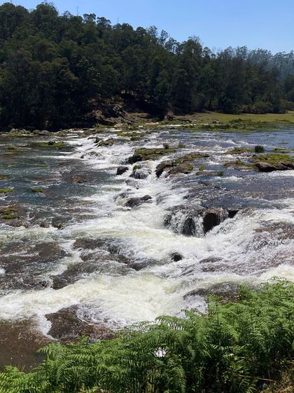 Rushing water over rocks in Ooty, a refreshing sight amidst the green landscape.