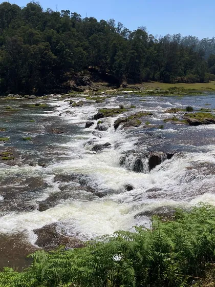 The rushing waters of Pykara Falls in Ooty. It's a powerful and scenic spot that we love to visit.