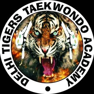Tigers Taekwondo Academy