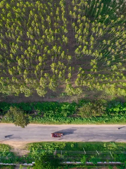 A top-down view of a road next to a dense forest in Karnataka. The contrast in textures and colors is striking.