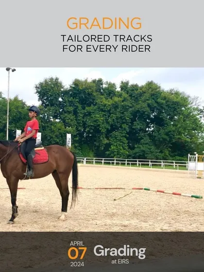 Success is built on a solid foundation. My structured grading system provides a clear, tailored path for every rider to progress safely from beginner basics to advanced competitive skills at their own pace.