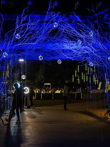 To make a dramatic first impression for this Sangeet night, we designed an ethereal entrance arch. We used intertwined branches washed in electric blue light and dotted with hanging crystal orbs to create a magical walkway for guests.