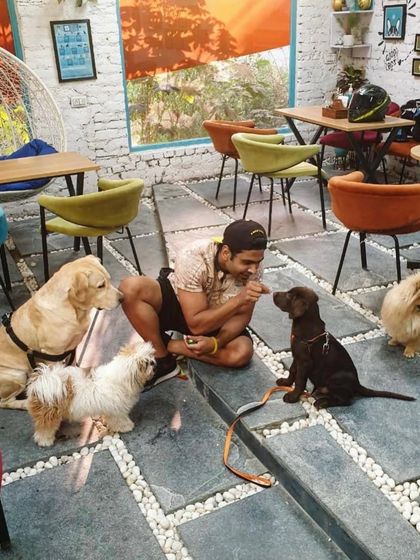 A customer surrounded by a pack of adorable pups, all vying for his attention. It's a dog lover's dream.
