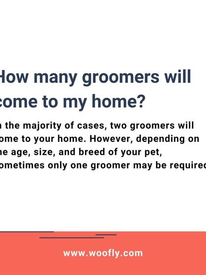 Woofly - At-Home Pet Grooming Services, Pricing, and FAQs photo 10