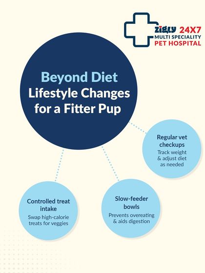 Zigly - Veterinary Services Pet Parent Resources & Tips photo 23