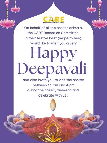 Charlie's Animal Rescue Centre - Community Outreach & Education Awareness & Advocacy photo 9