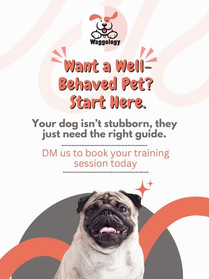 A direct call to action for anyone wanting a well-behaved pet. Your dog isn't stubborn, they just need the right guide. I'm here to help you build that communication and trust.
