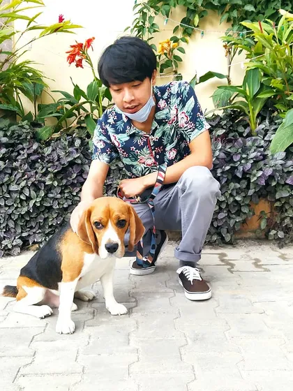 This is Rossi the Beagle with one of our walkers in the Richmond Road area. Building a bond of trust with each dog is the most important part of our job. We ensure they feel safe and happy with us.