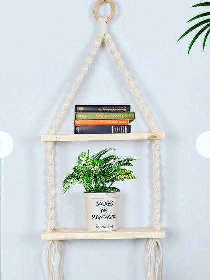 Pots, Planters & Stands photo 17