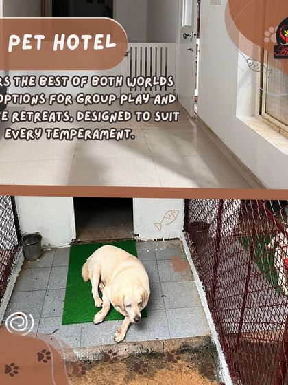 Anvis - Dog Boarding Our Boarding Centers in Bangalore photo 4