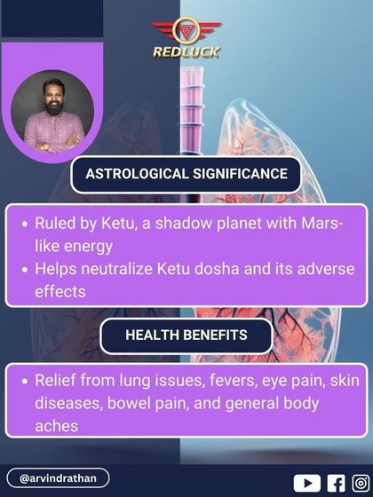 Arvind Rathan - Personalized Spiritual Remedies Personalized Rudraksha Recommendations photo 54