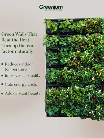 This graphic highlights the functional benefits of a green wall. It not only adds beauty but also helps reduce indoor temperature, improve air quality, and even cut energy costs by providing natural insulation.