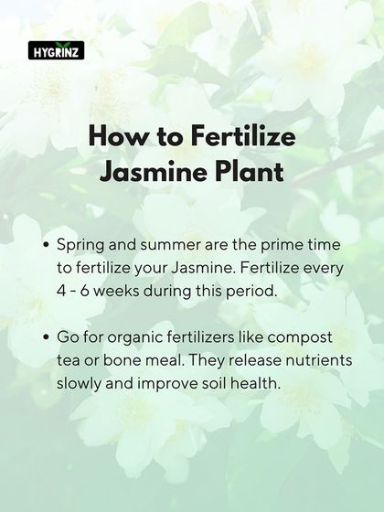 Hygrinz - Garden Maintenance Gardening Know-How: Tips & Techniques photo 18