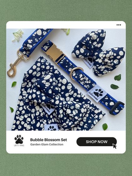 The complete Bubble Blossom accessory set. It includes a collar, leash, bandana, and bow, plus a matching hair clip for you. Available in puppy and adult sizes.