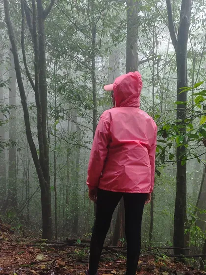 A trekker in a pink poncho stands in a misty forest on the Kurinjal trail.
