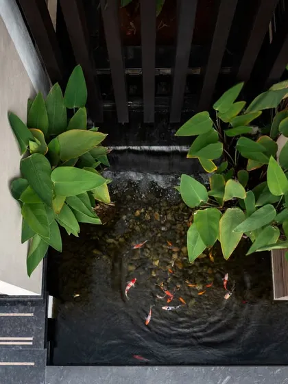 An overhead view of the koi pond, a key element of this outdoor sanctuary design. The water feature serves as a soothing anchor, separating formal and private areas while maintaining a sense of connection and flow.