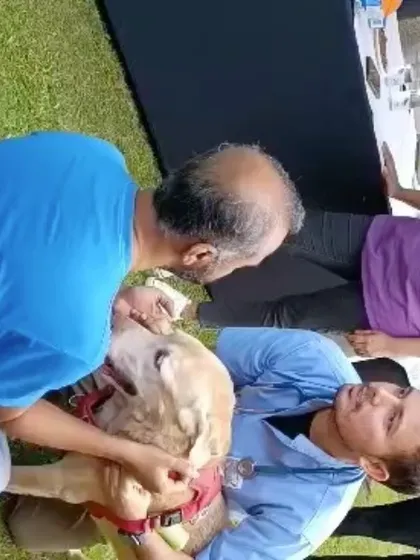 A close-up of a free health check-up happening at our event. We partner with the best to ensure your pets are well cared for.