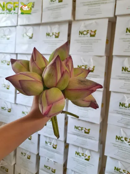 We use fresh lotus buds and leaves for our Kang festival offerings, ensuring the most authentic experience for our customers.