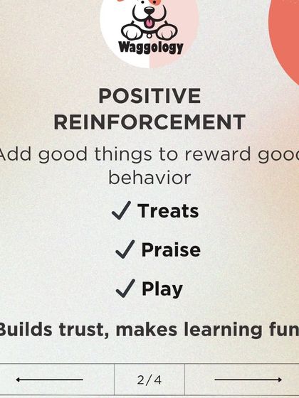 This graphic explains what positive reinforcement is: adding good things like treats, praise, or play to reward good behavior. This method builds trust and makes learning a fun and engaging experience for your pet.