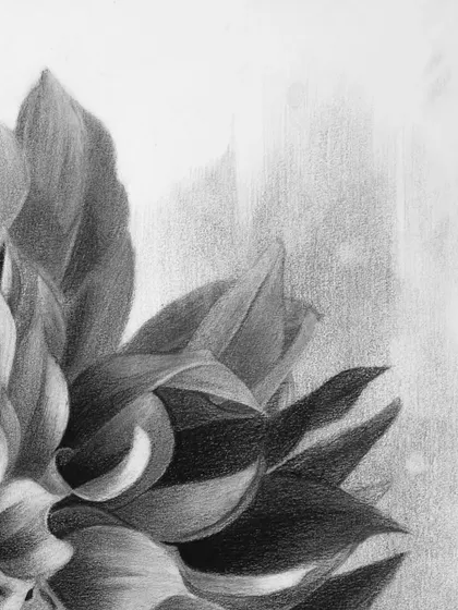 Another detail shot showing the complex, overlapping petals near the flower's center.
