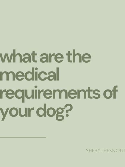 Aditi - In-Home Pet Sitting My Approach to Pet Sitting photo 12