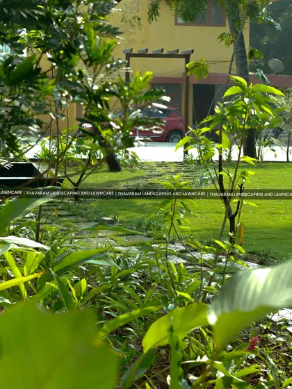 A view through lush foreground plants to a sunny, expansive lawn, showing how I create layers and depth in a garden.