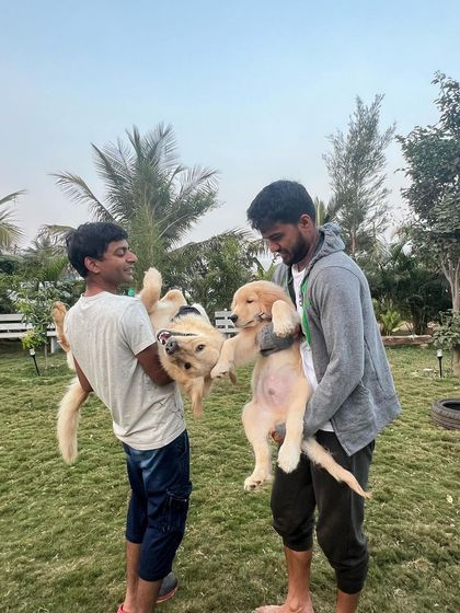 Poochkoo Mutts & Nutts - Dog-Friendly Cafe & Events Splash & Play: Pool and Off-Leash Fun photo 11