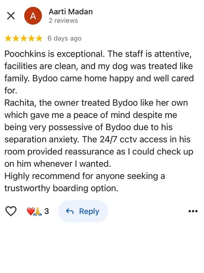 It gives us so much peace of mind to know that we can help anxious dogs like Bydoo feel safe and happy. We treat every dog like our own, and this lovely review from his mom means the world to us.
