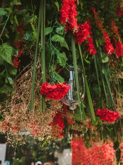 Our Signature Color Stories photo 9