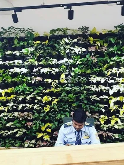 A green wall makes a powerful first impression in a commercial space. We installed this indoor vertical garden at an office reception to create a welcoming and natural environment for employees and visitors.