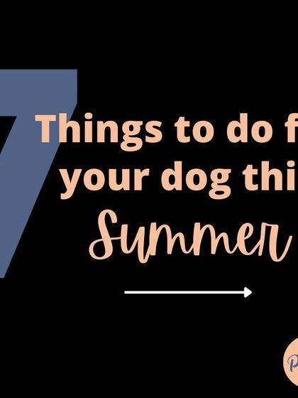 Here's my guide to 7 things to do for your dog this summer. Keeping them safe in the heat is our top priority as pet parents.