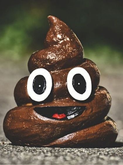 Pawtbelly - Fresh Dog Food Delivery The Pawtbelly Glow-Up: Real Results photo 3