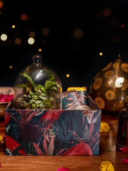 This gift box is designed for spreading festive cheer, featuring a beautiful cloche terrarium alongside handmade chocolates and a scented candle, all packed in a reusable box.