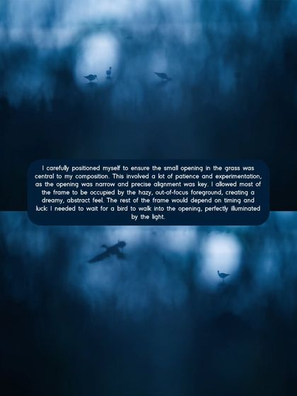 The Art of the Shot: Composition & Creativity photo 7