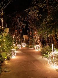 Milestone & Private Party Decoration