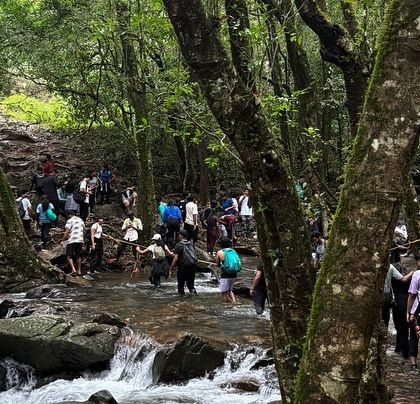 A group of our trekkers carefully crossing a river stream during the Netravati Peak trek. Our guides are always there to ensure a safe passage.