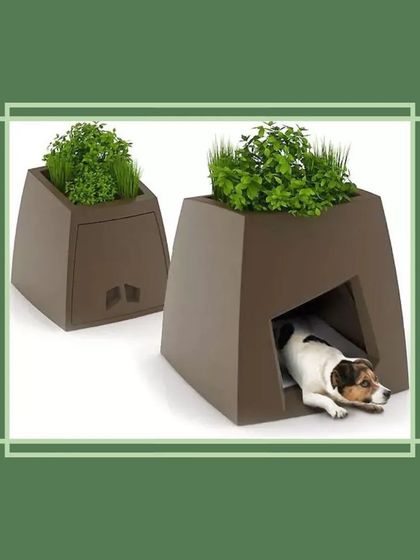 We even have solutions for your furry friends. This unique planter doubles as a cozy dog house, integrating your pet's comfort into the overall design of your garden. It’s a fun and practical piece that shows great design can be for everyone in the family.