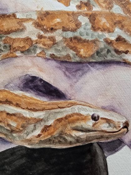 Megha Vinod - Custom Portraits & Illustrations Stylized Watercolor & Mixed Media photo 7